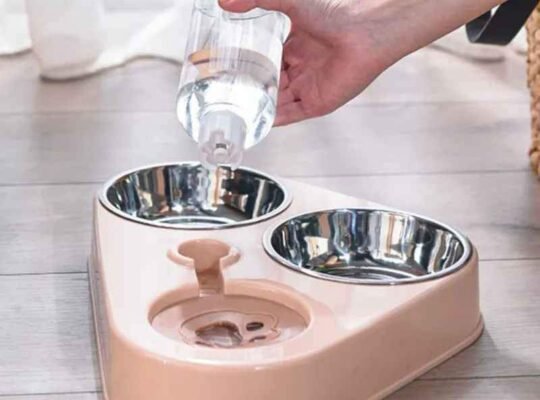 Gamelle en inox 3 × 1 pour animaux de compagnie