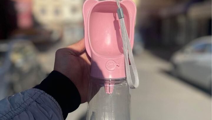 Bol d’eau pour chien