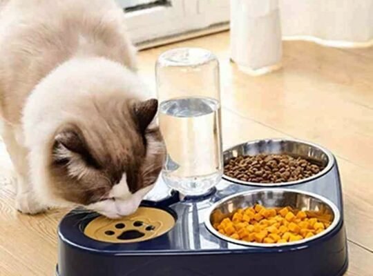 Gamelle en inox 3 × 1 pour animaux de compagnie