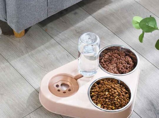 Gamelle en inox 3 × 1 pour animaux de compagnie