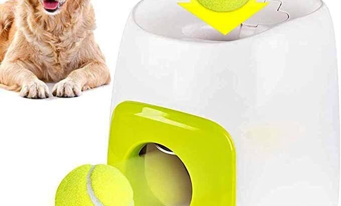 Lanceur de balle interactif pour chiens