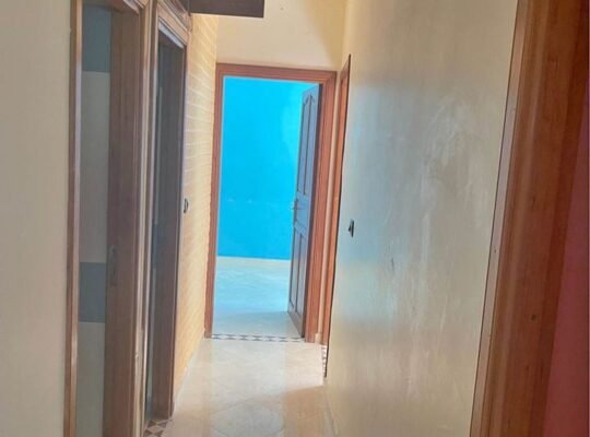 Appartement 3 chambre