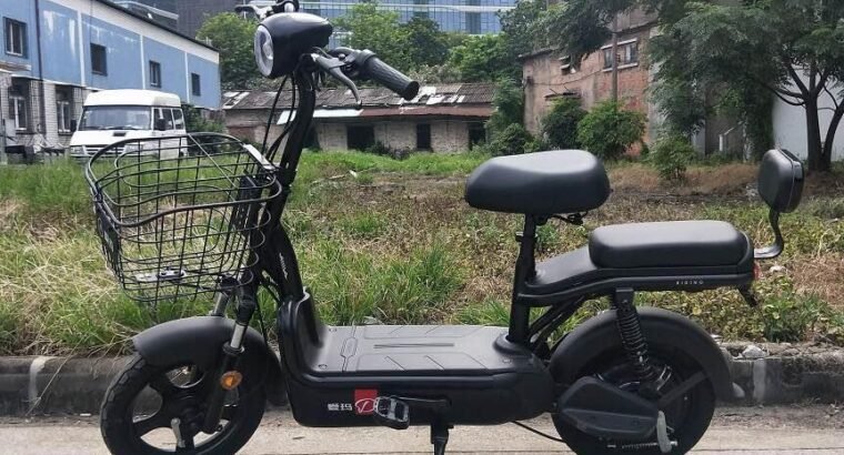 vélo électrique