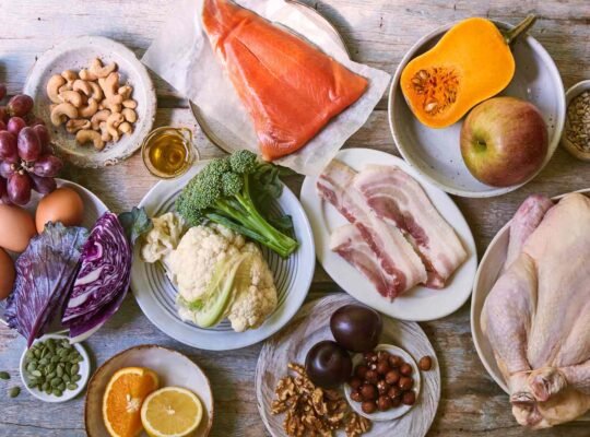 Comprendre le régime Paléo : principes de base et conseils pratiques